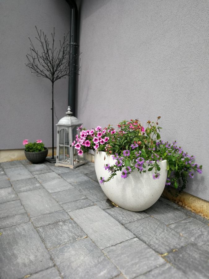 Zsinko Villa Печ Екстериор снимка